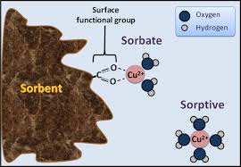 Adsorption and Desorption in Agricultural Soil Systems Adsorption and Desorption in Agricultural Soil Systems