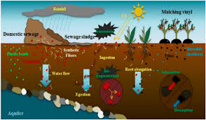 Adsorption and Desorption in Agricultural Soil Systems Adsorption and Desorption in Agricultural Soil Systems