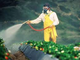 Safe Handling of Pesticides in Agriculture
