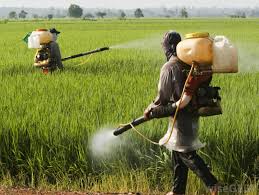 Safe Handling of Pesticides in Agriculture