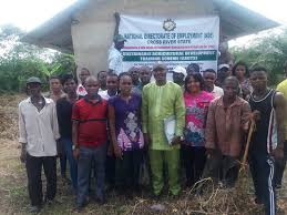 Rural Youth Agricultural Extension Programmes in Nigeria