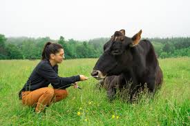 Learning, Communication, and Social Behavior in Farm Animals