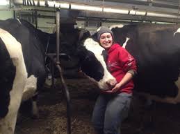 Learning, Communication, and Social Behavior in Farm Animals