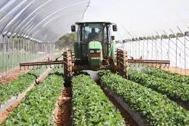 Types of Agricultural Project Evaluation and Process