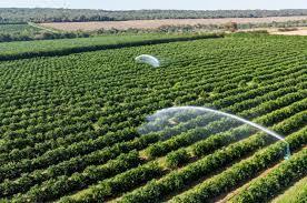 Ecosystems Suitable for Agricultural Projects