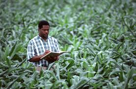 Process of Evaluating Agricultural Projects