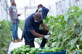 Process of Evaluating Agricultural Projects