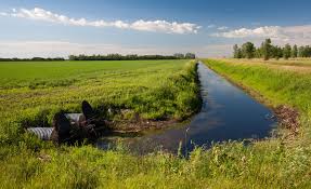 Components and Functions of a Watershed in Agricultural Systems