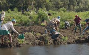 Watershed Condition and Its Importance in Agricultural Land Management