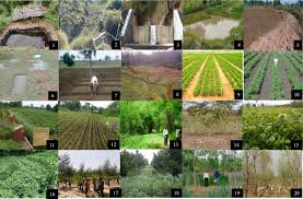 Watershed Condition and Its Importance in Agricultural Land Management