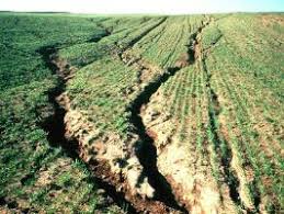 Understanding Soil Erosion and Its Agricultural Implications