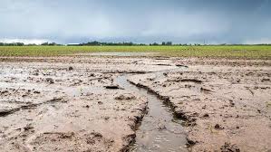 Understanding Soil Erosion and Its Agricultural Implications