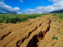 Processes and Factors of Soil Erosion Relevant to Agricultural Lands