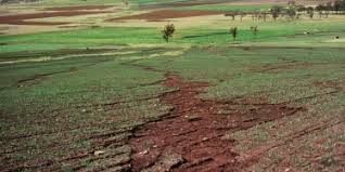 Types of Soil Erosion and Their Impact on Agricultural Productivity