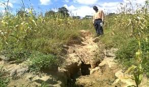 Types of Soil Erosion and Their Impact on Agricultural Productivity