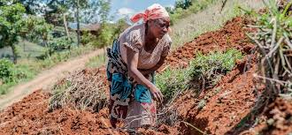 Types of Soil Erosion and Their Impact on Agricultural Productivity