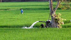 Roles of Surface Water and Groundwater in Agriculture