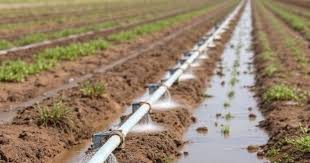 Integrated Watershed Management and Its Agricultural Significance