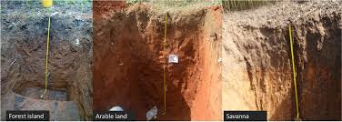 Types of Soil in the Nigerian Savanna