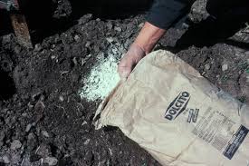 Liming and Liming Materials for Soil Acidity Management in Agriculture