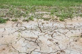 Soil Salinity and Sodicity in Agricultural Management