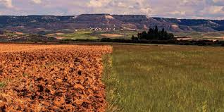 Soil Salinity and Sodicity in Agricultural Management