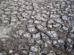 Soil Salinity and Sodicity in Agricultural Management