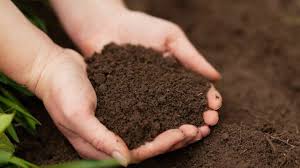 Importance of Soil Fertility and Organic Matter in Sustainable Agriculture