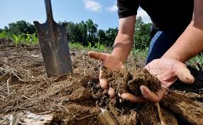 Importance of Soil Fertility and Organic Matter in Sustainable Agriculture