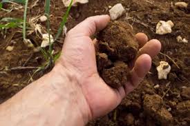Relationship Between Soil And Soil Fertility In Crop Production