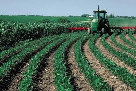 Soil Tillage in Sustainable Agriculture