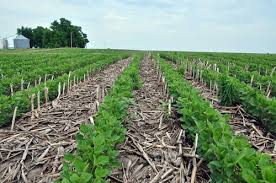 Soil Tillage in Sustainable Agriculture
