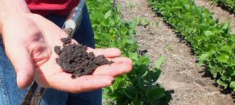 Soil Tillage in Sustainable Agriculture