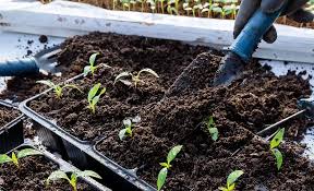 Soil Organic Matter and Its Role in Agriculture