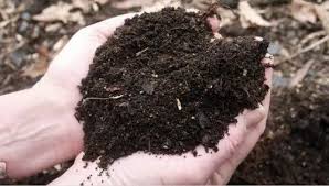 Animal Manure in Agriculture