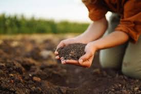 Soil Origin and Its Role in Agriculture