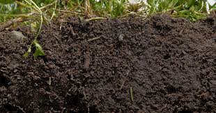 Soil Formation Processes in Agriculture