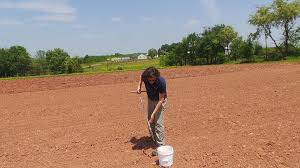 Soil Morphology and Its Role in Agricultural Soil Management