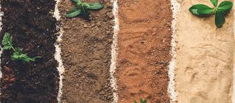 Soil Components in Agriculture