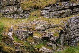 Soil Components in Agriculture