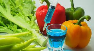 Important Issues in Food Safety and Quality in Agriculture