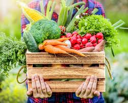 Important Issues in Food Safety and Quality in Agriculture