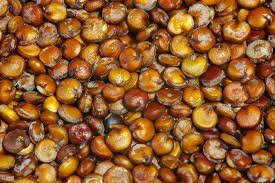 Antinutrients in Agricultural Food Systems