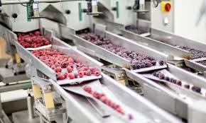 Food Processing Contaminants
