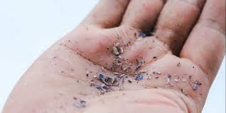 Food Processing Contaminants and Their Environmental Impact