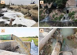 Food Processing Contaminants and Their Environmental Impact