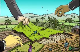 Environmental Policies and the Future of Food Additives in Agriculture