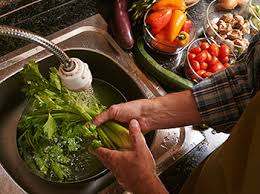 Principles and Practices for Safe Handling of Food Produce