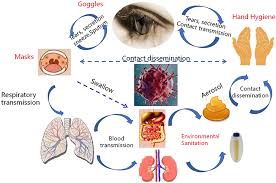 Reservoirs of Infectious Diseases