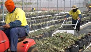 Effective Cleaning Methods for Agricultural Environments